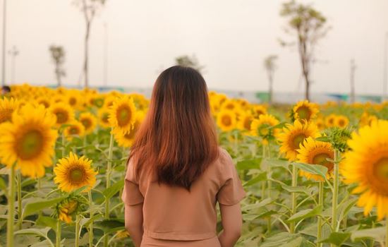 老婆坚决和我离婚，这段婚姻还能挽回吗？