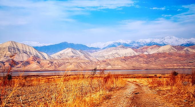 相亲认识的女友，对我越来越冷淡，我该怎么办？